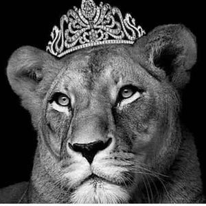 Meet your Posher, Cass